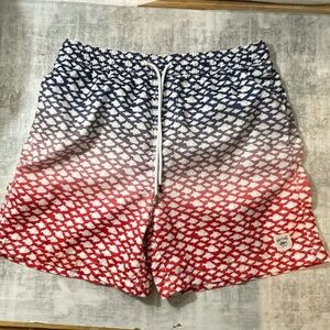 Men’s Two Tone Fish Swim Trunks. Clean and in Good Condition. Size Large. $7